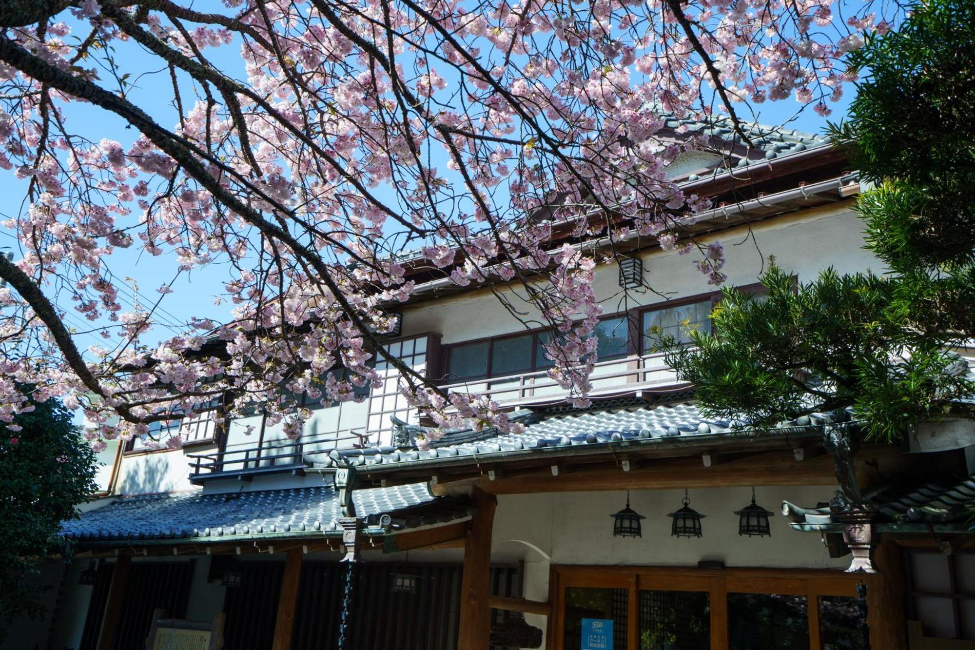 Sakahijiri Gyokushoen Izu  Exteriér fotografie